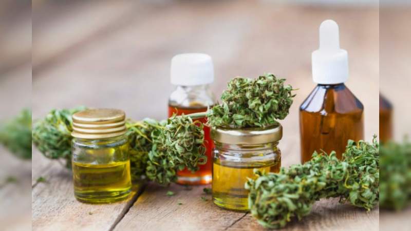 Estudio revela que los extractos de cannabis reduce el riesgo de contraer Covid-19 