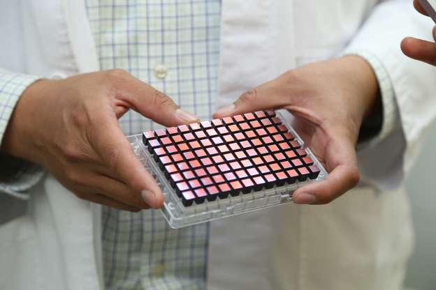 Investigación científica podría prevenir obesidad, diabetes e infartos  - Foto 2 