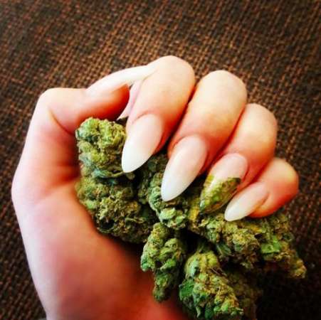 Nueva tendencia uñas con marihuana  - Foto 1 