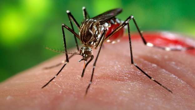 México suma 201 casos de zika 
