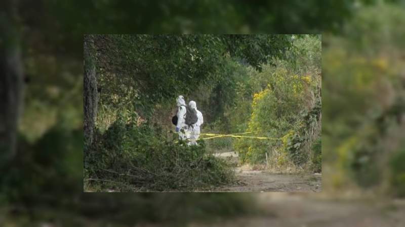 Descubren fosa clandestina en Capula, Michoacán, perros desenterraron el cuerpo