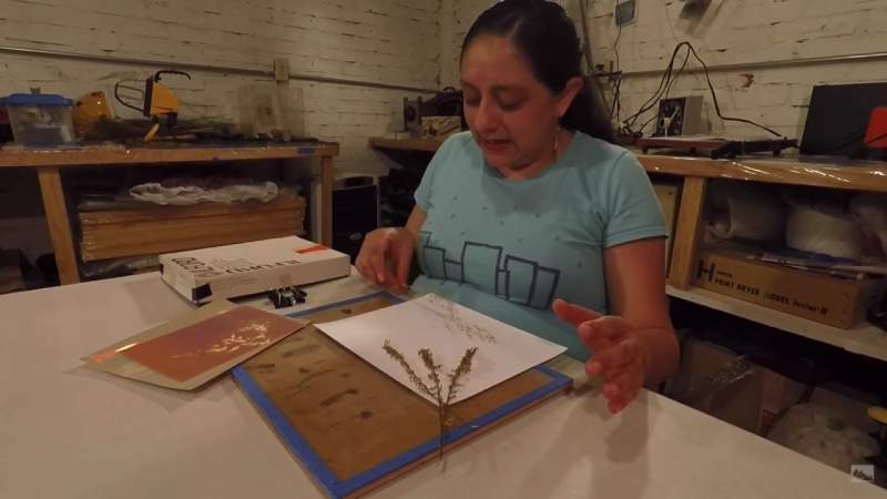 En Morelia, Casa de la Cultura ofrece actividades en línea