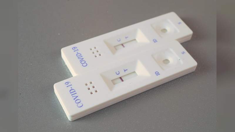 Coepris revisa farmacias de Michoacán para detectar pruebas rápidas no autorizadas 