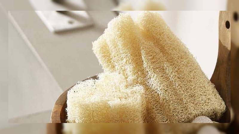 Zara Home lanza esponja corporal de Luffa, la venden en $300 pesos  