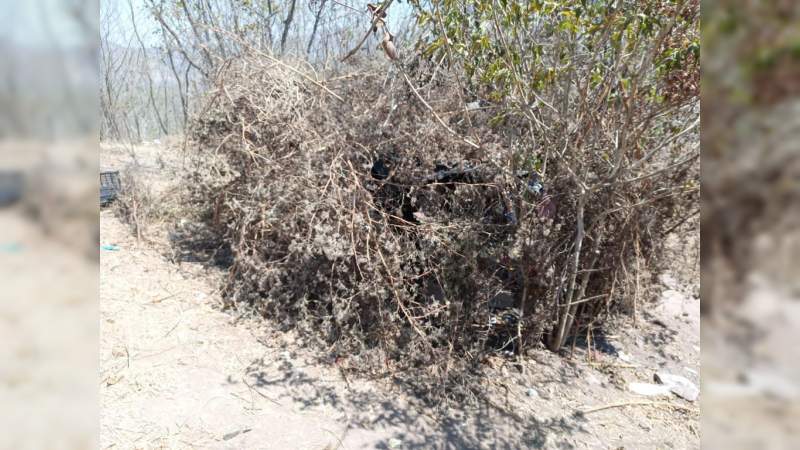 Policía Michoacán y Guardia Nacional destruyen dos narco campamentos, en Chinicuila 
