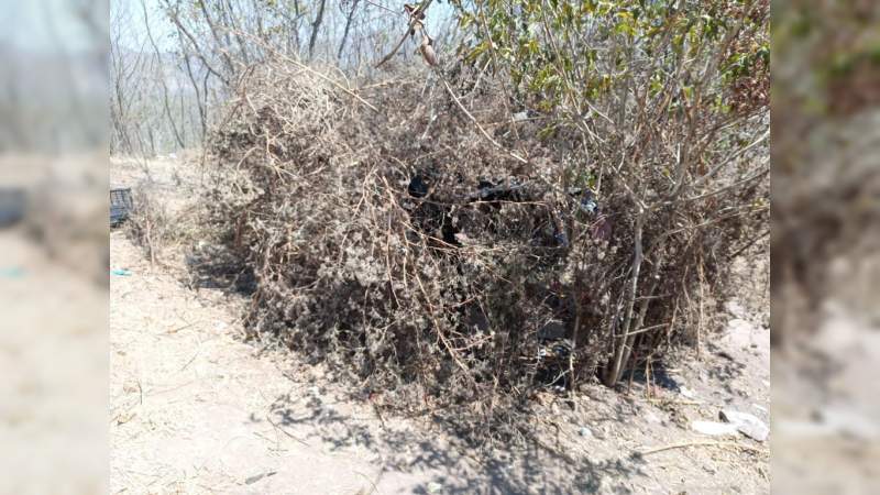 Policía Michoacán y Guardia Nacional destruyen dos narco campamentos, en Chinicuila