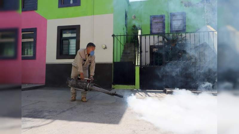 Michoacán, sin casos de zika y chikungunya