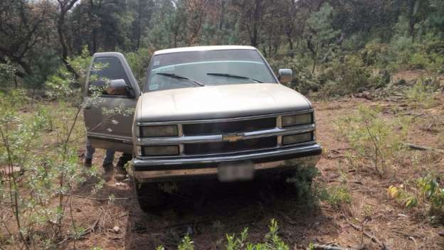 Policía Michoacán decomisa 197 rollos de madera - Foto 3 