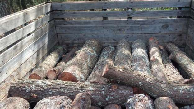 Policía Michoacán decomisa 197 rollos de madera 