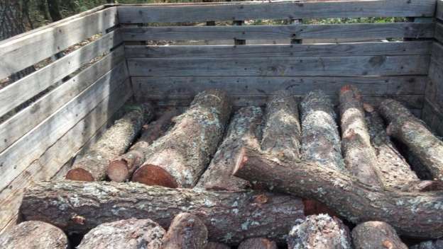 Policía Michoacán decomisa 197 rollos de madera - Foto 4 