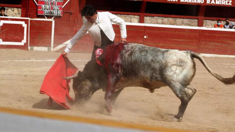 Lolo Gutiérrez en su encuentro con “René”, cárdeno de bandera con el hierro de San Mateo