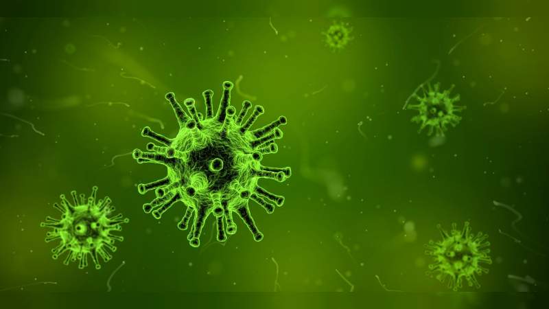 Récord de muertes diarias por COVID-19 en Brasil 