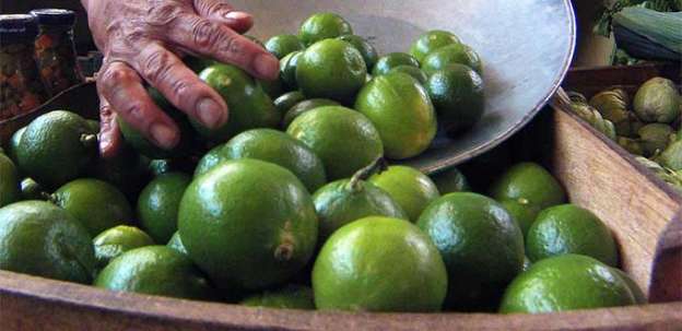 Precio del limón entre los 30 pesos  