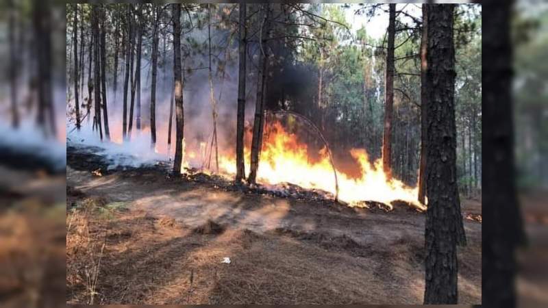  Incontrolable incendio en Agostitlán, Michoacán 