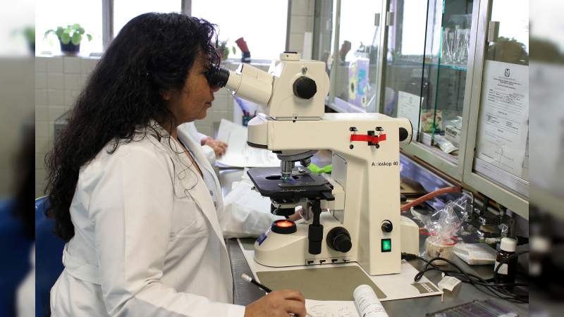 Cuba podría presentar la primera vacuna latinoamericana contra COVID-19  