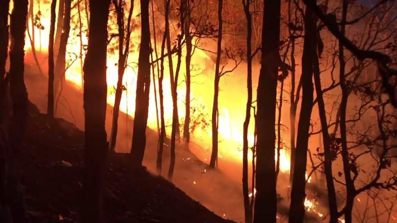 Brigadistas combaten incendios por aire y tierra en Áporo, Senguio, Los Reyes y Tangancícuaro 