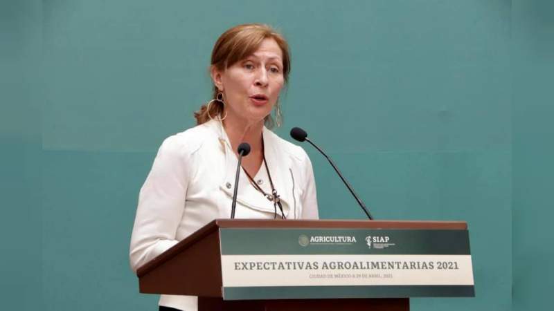 38% de avance en el plan de reactivación económica: Tatiana Clouthier 