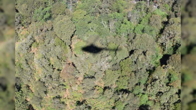 El incendio en el cerro de San Marcos, en Uruapan, se encuentra controlado y en fase de liquidación  