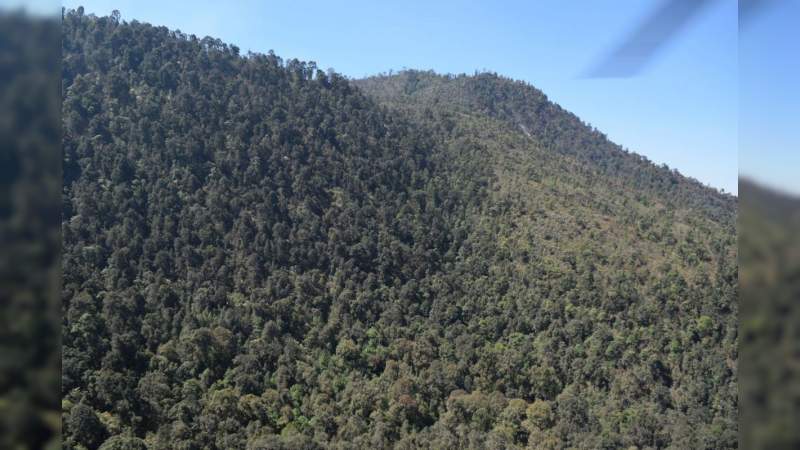 El incendio en el cerro de San Marcos, en Uruapan, se encuentra controlado y en fase de liquidación  