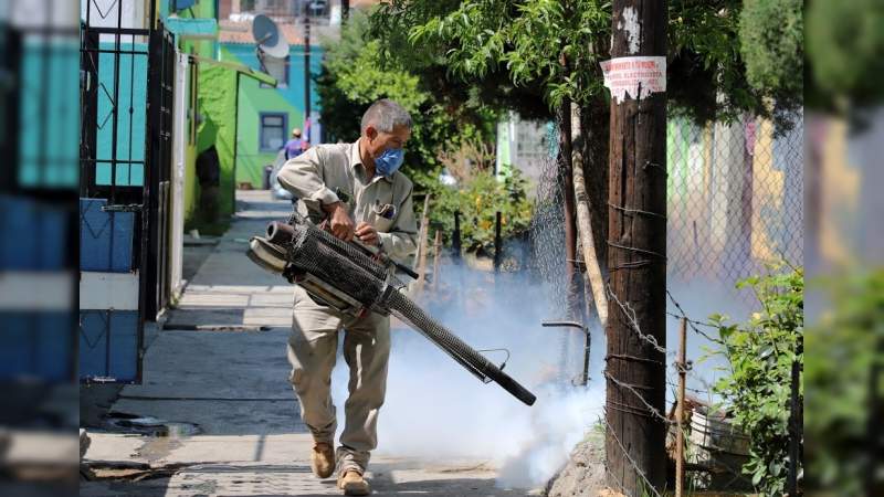 Michoacán registra reducción global del 61% en casos de dengue  