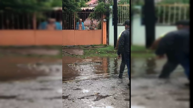 Reportan presencia de decenas de cocodrilos a causa de tormenta tropical en Lázaro Cárdenas