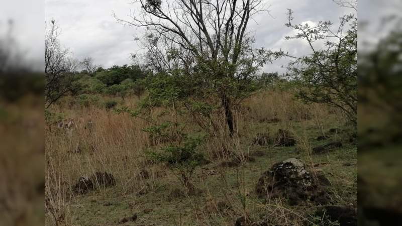 Hallan cadáver semienterrado en Jacona, Michoacán