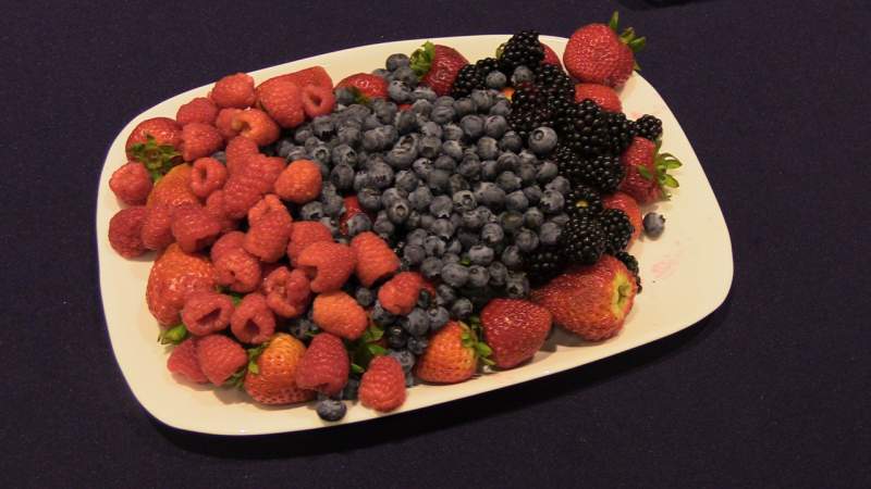 Productores de berries organizarán 11° Congreso Internacional