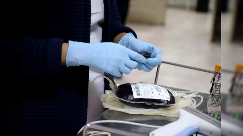 Donación altruista de sangre, acto seguro y voluntario que salva vidas: SSM 