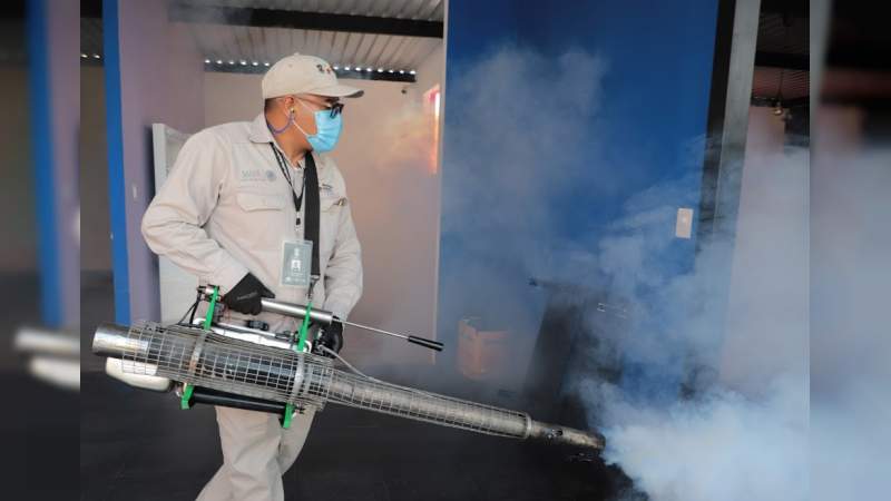 Michoacán registra decremento del 82% en casos de dengue  