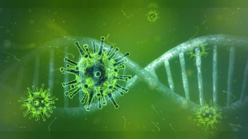 Lo que se conoce de Covid-19 hasta el momento: SSM 