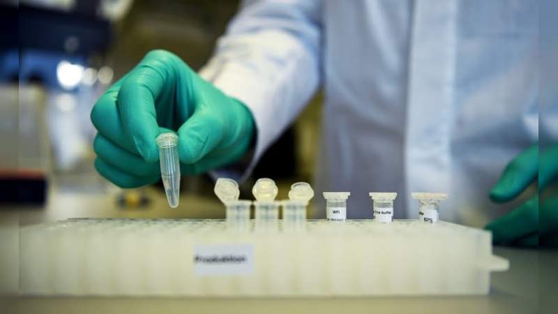 Científicos descubren un "Superanticuerpo" que podría combatir una gran gama de variantes del Covid-19 