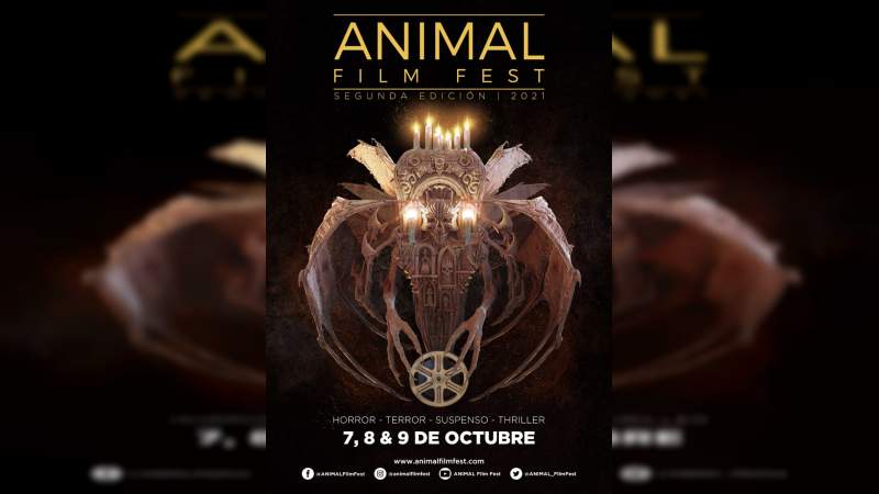 Se acerca cierre de convocatoria del Animal Film Fest 2021 