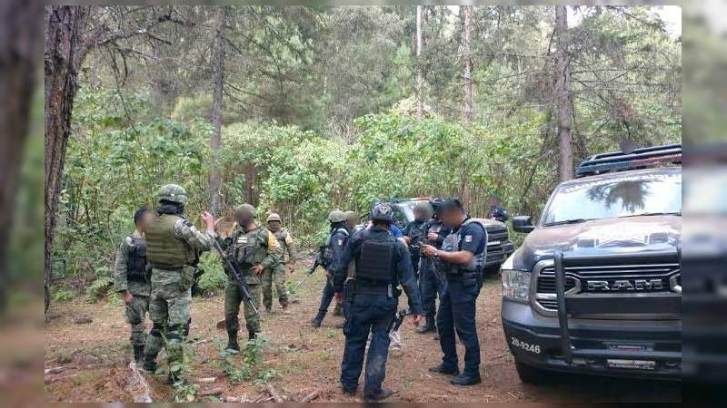 Hallan a ocho ejecutados en un narcocampamento en el cerro verde de Cotija