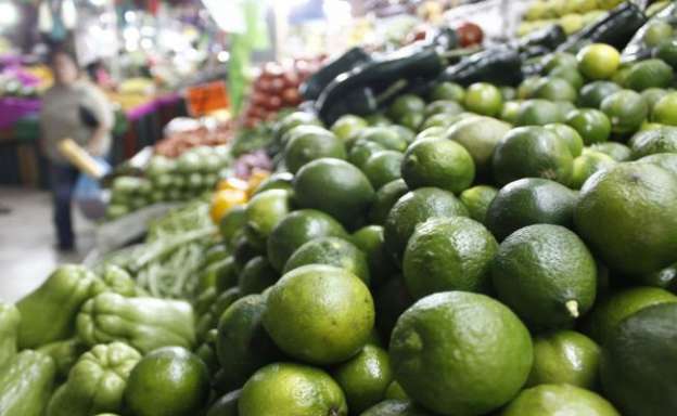 Precio de limón podría alcanzar los 50 pesos  