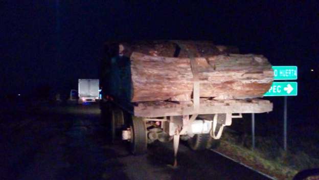 Decomisan dos vehículos con madera de precedencia ilegal  