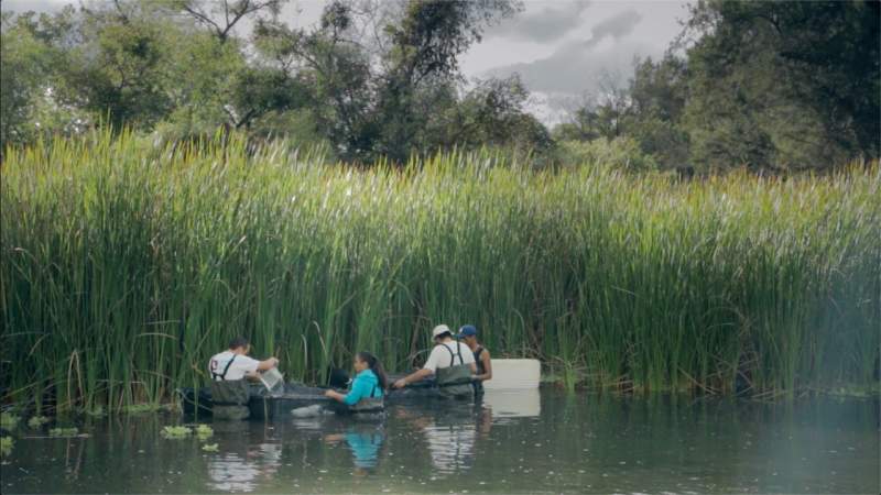 Aprueba CONACYT, 9 proyectos de investigadores de la UMSNH 