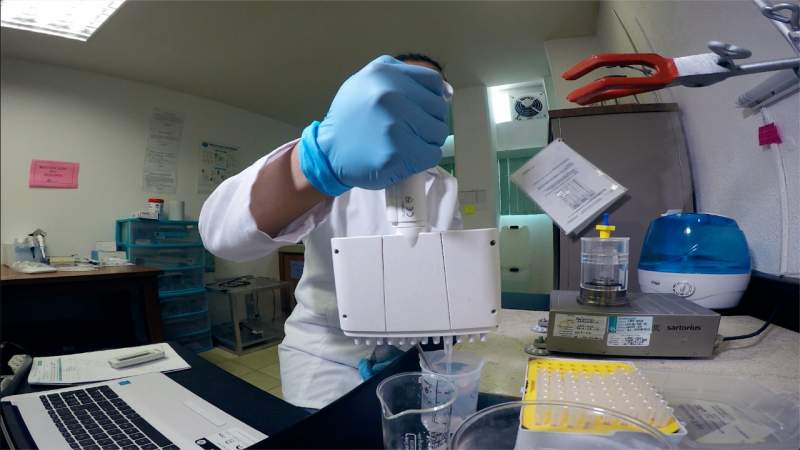 Aprueba CONACYT, 9 proyectos de investigadores de la UMSNH 