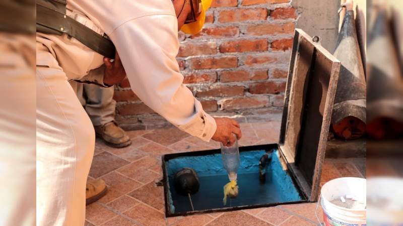  Disminuyen casos de dengue en Michoacán 
