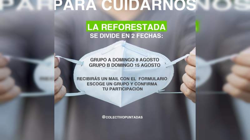 Convocan voluntarios para reforestación en Charo 