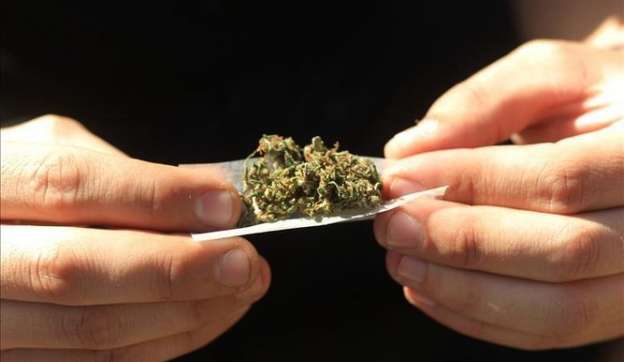 Conoce el nuevo uso de la marihuana  