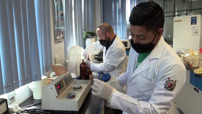 UMSNH eleva a 32 los programas de licenciatura acreditados 