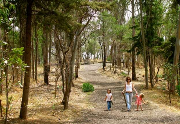 Bosques de Chapultepec, Tlalpan y Aragón amplían horarios a partir de este lunes 