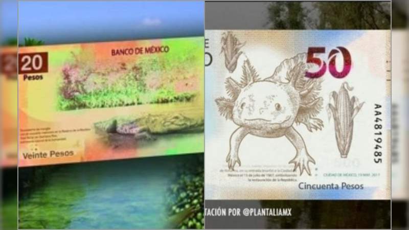Anuncia Banxico los nuevos billetes de 20 y 50 pesos, adiós a Juárez y Morelos 