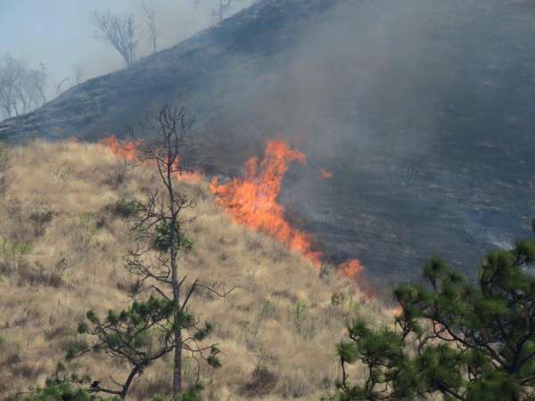 Fotografías del fuerte incendio en el cerro de  la Cruz en Uruapan  - Foto 3 