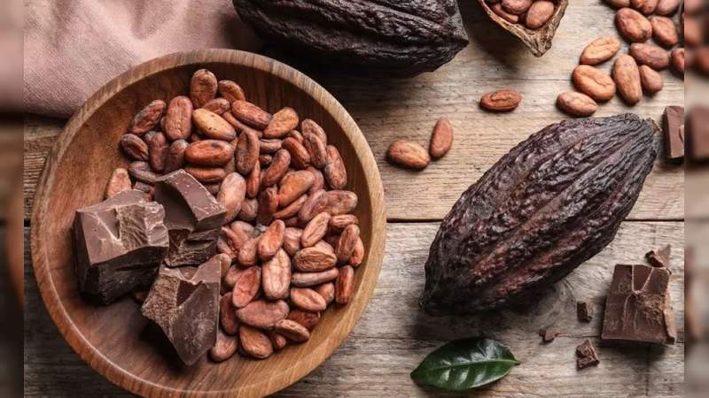 Científicos aseguran que se acerca el fin del chocolate 