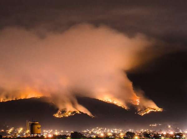 Hacer valer la ley para reforestar áreas siniestradas por incendio en Uruapan: Ernesto Núñez - Foto 0 