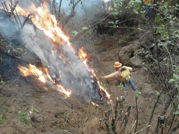 Controlados incendios en cerros de Uruapan, Michoacán - Foto 4 