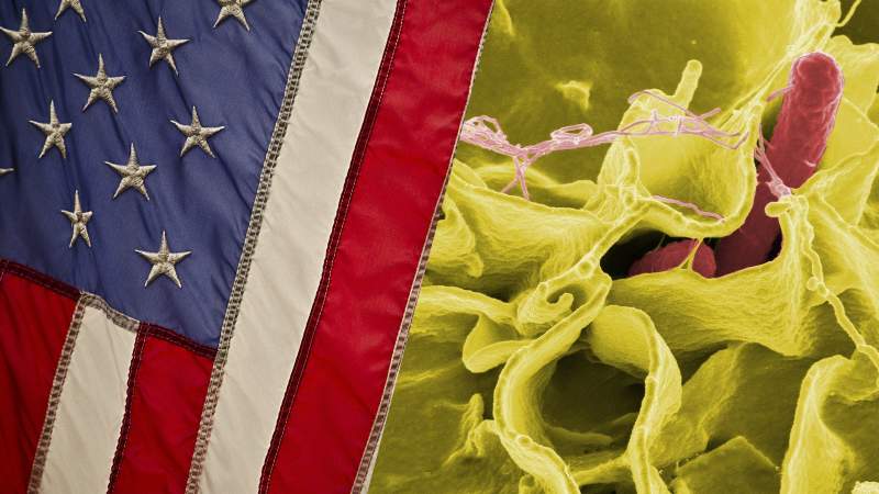 Detectan brote de salmonella en Estados Unidos  