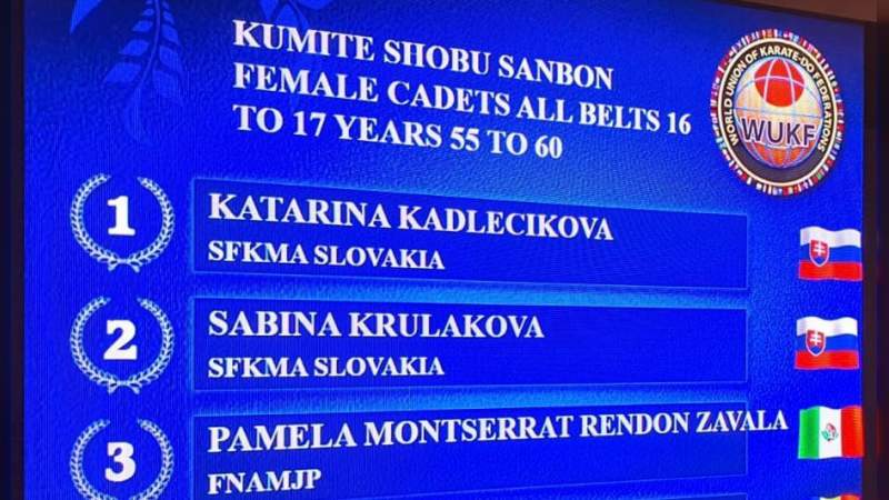 Karatecas michoacanos obtienen 3 medallas en Copa Mundial de Karate do 