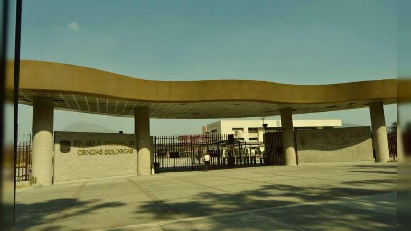Instituto Politécnico Nacional prepara vacuna contra el Chikungunya 